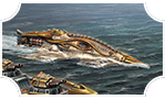 Nautilus Thumb